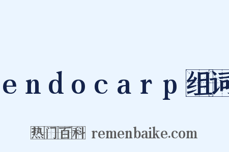 endocarp组词是什么意思的图片